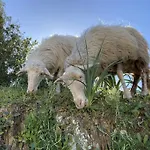 Taddore Διαμέρισμα